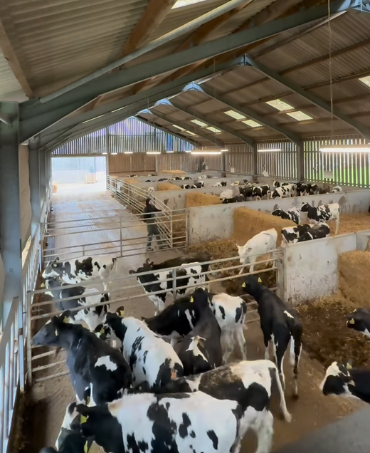 Burrows.Farm farm photo